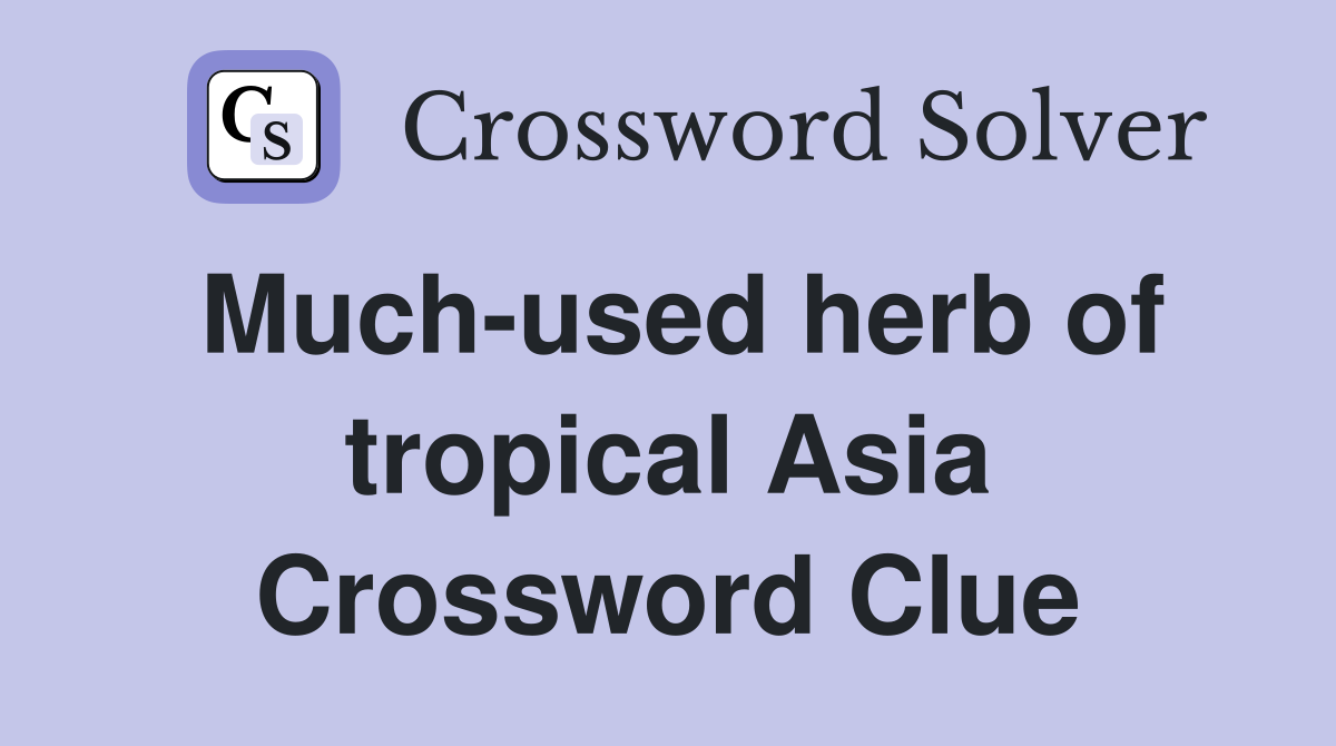Much-used herb of tropical Asia Crossword Clue