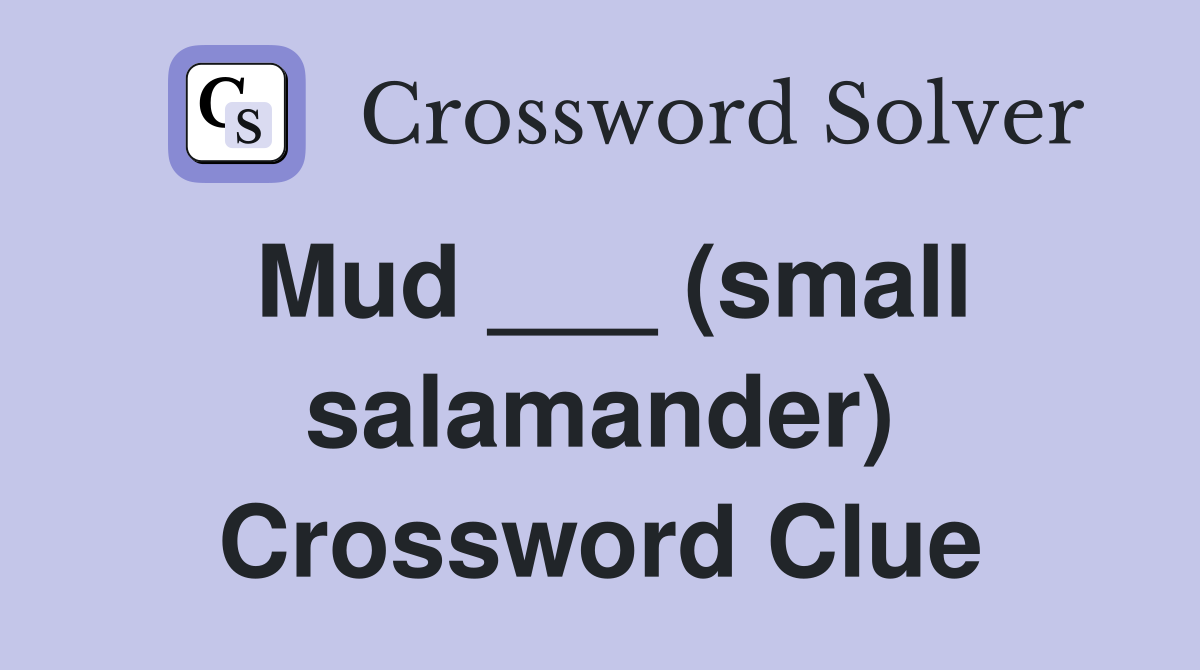 Mud ___ (small salamander) Crossword Clue