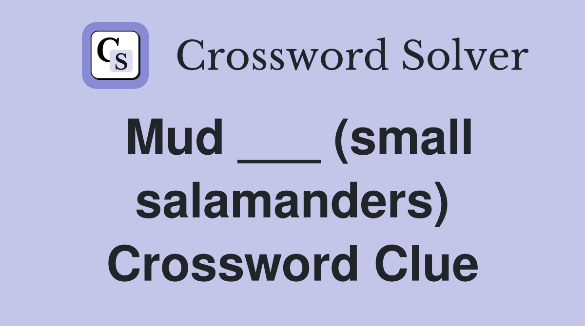 Mud ___ (small salamanders) Crossword Clue