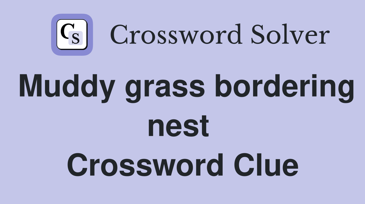 Muddy grass bordering nest  Crossword Clue