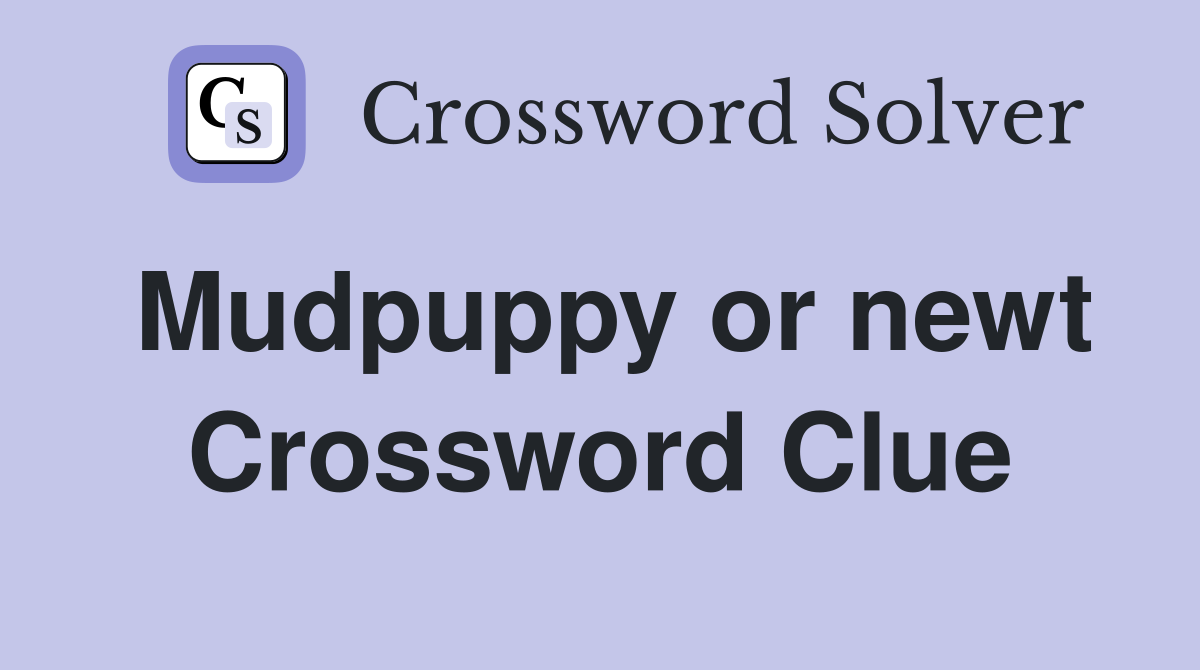 Mudpuppy or newt Crossword Clue