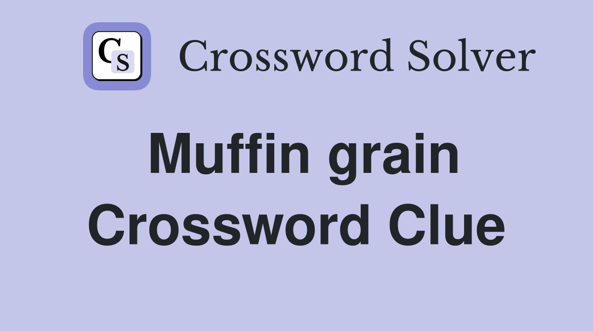 Muffin grain Crossword Clue