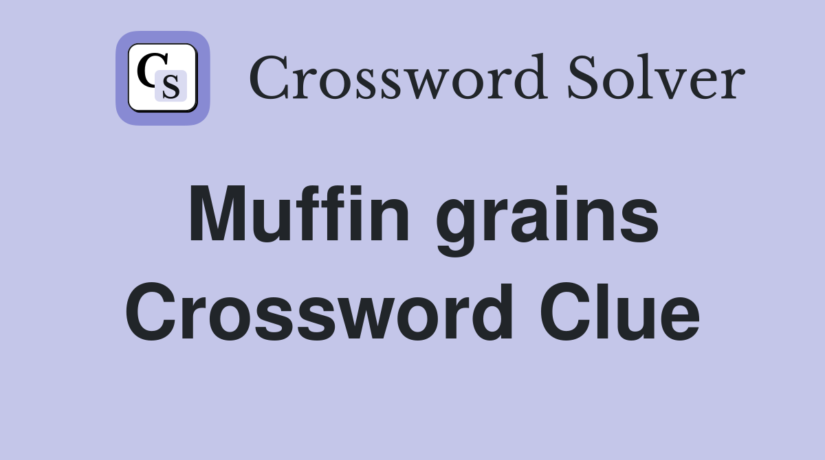 Muffin grains Crossword Clue