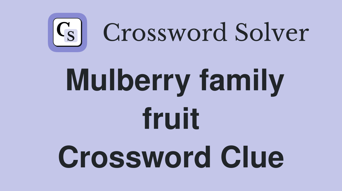 Mulberry family fruit Crossword Clue