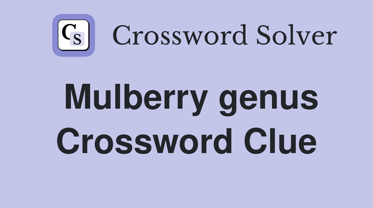 Mulberry genus Crossword Clue