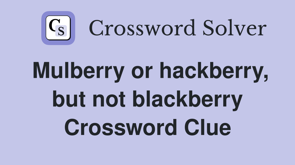 Mulberry or hackberry, but not blackberry Crossword Clue