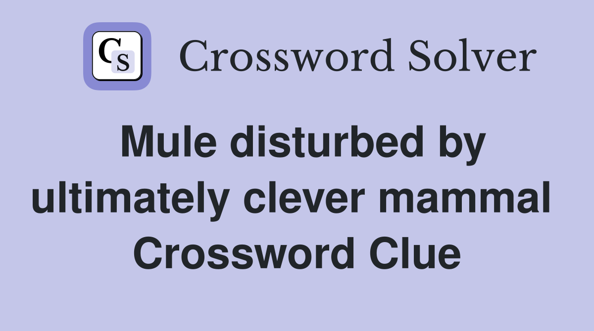Mule disturbed by ultimately clever mammal  Crossword Clue