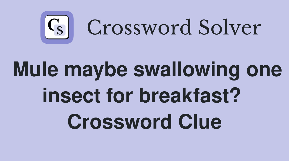 Mule maybe swallowing one insect for breakfast?  Crossword Clue