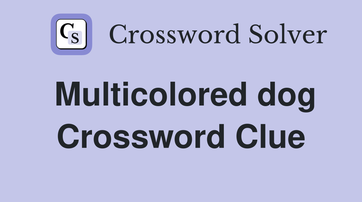 Multicolored dog Crossword Clue