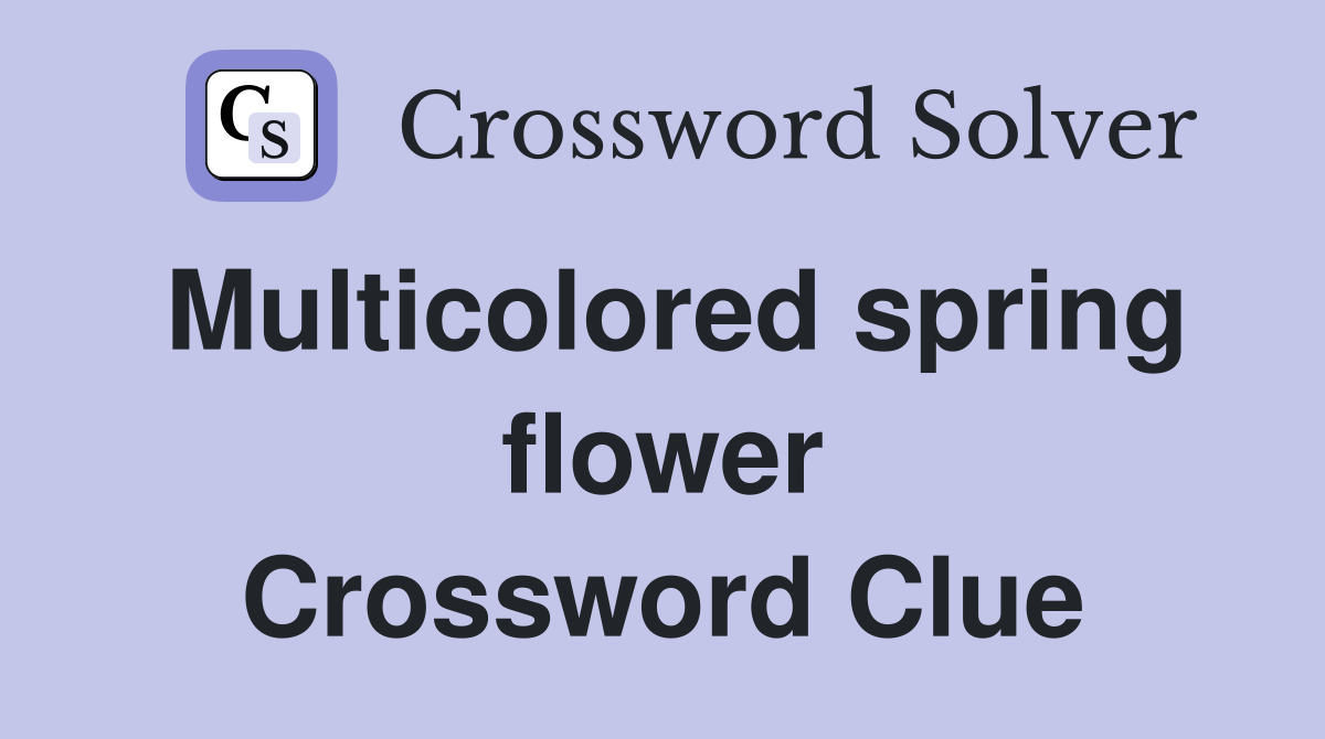 Multicolored spring flower Crossword Clue
