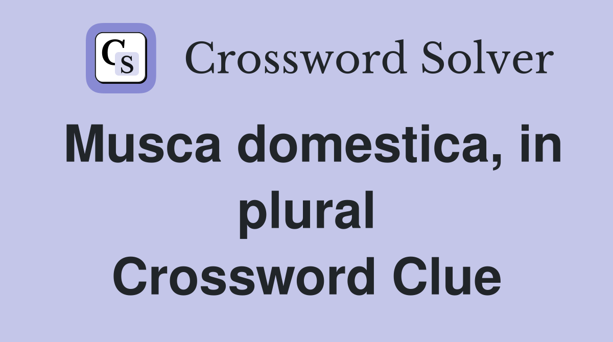Musca domestica, in plural Crossword Clue