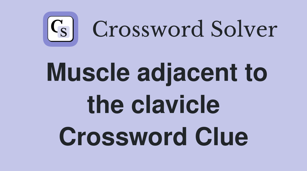 Muscle adjacent to the clavicle Crossword Clue