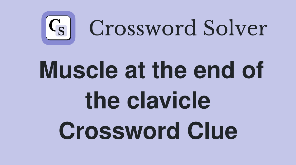 Muscle at the end of the clavicle Crossword Clue