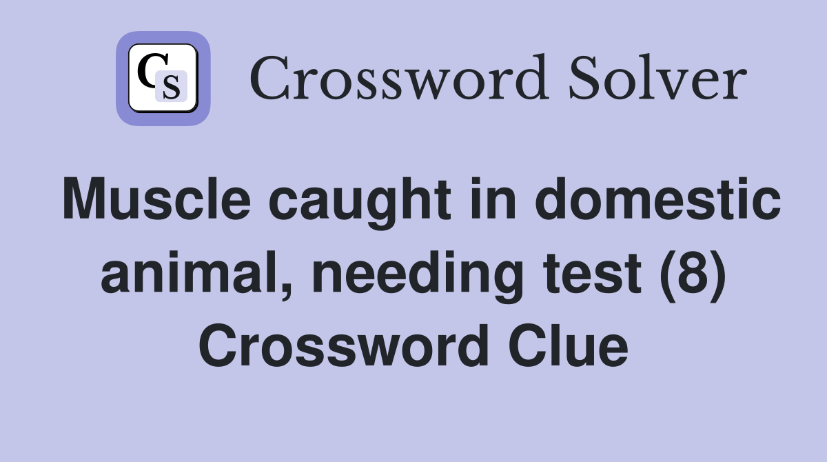 Muscle caught in domestic animal, needing test (8) Crossword Clue