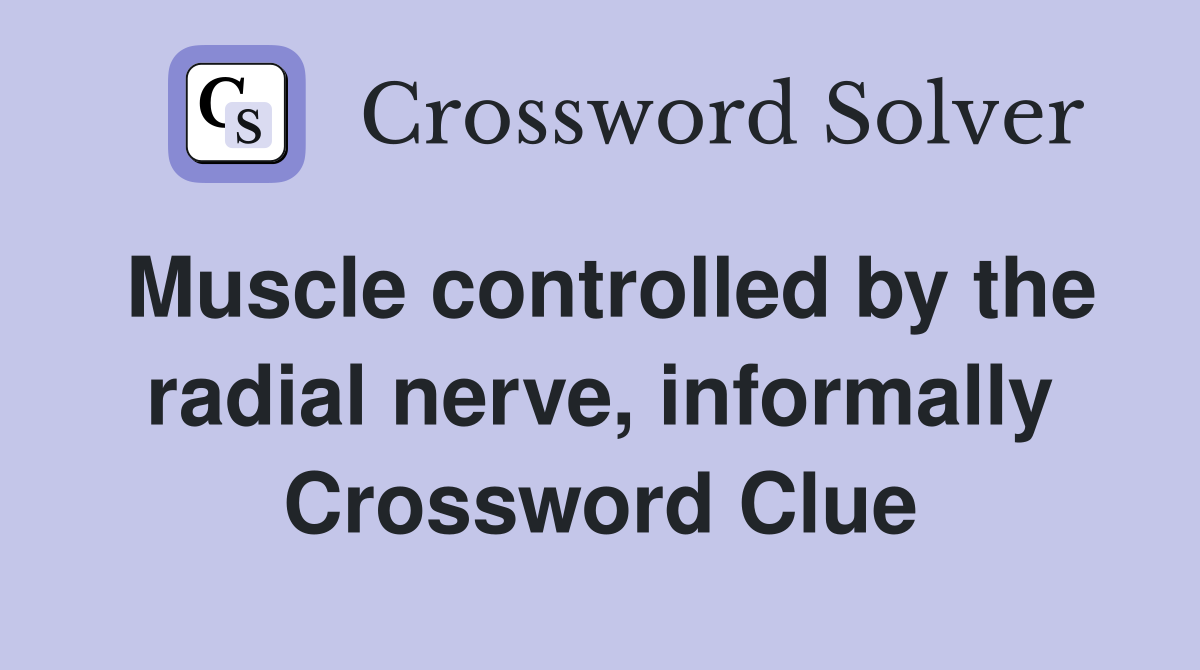Muscle controlled by the radial nerve, informally Crossword Clue