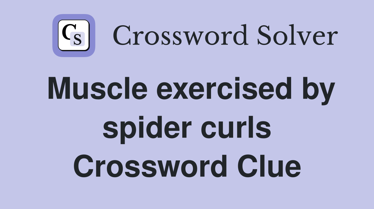 Muscle exercised by spider curls Crossword Clue