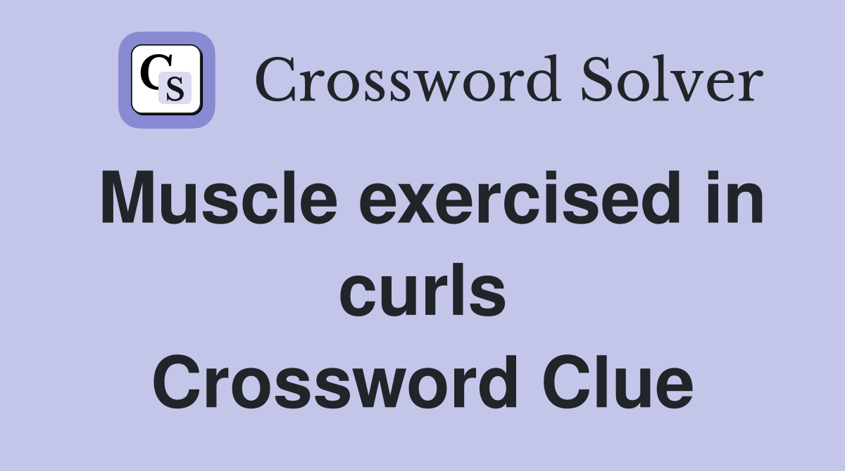 Muscle exercised in curls Crossword Clue