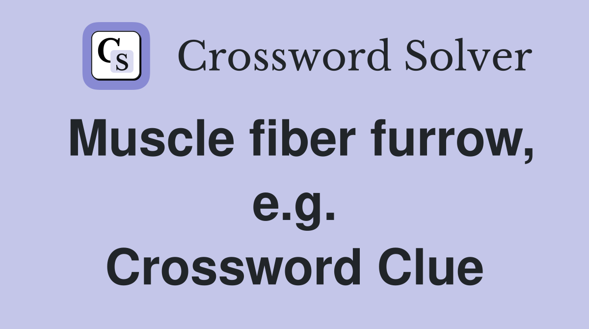 Muscle fiber furrow, e.g. Crossword Clue