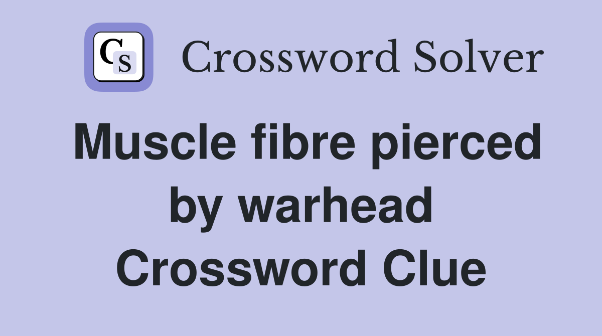 Muscle fibre pierced by warhead Crossword Clue