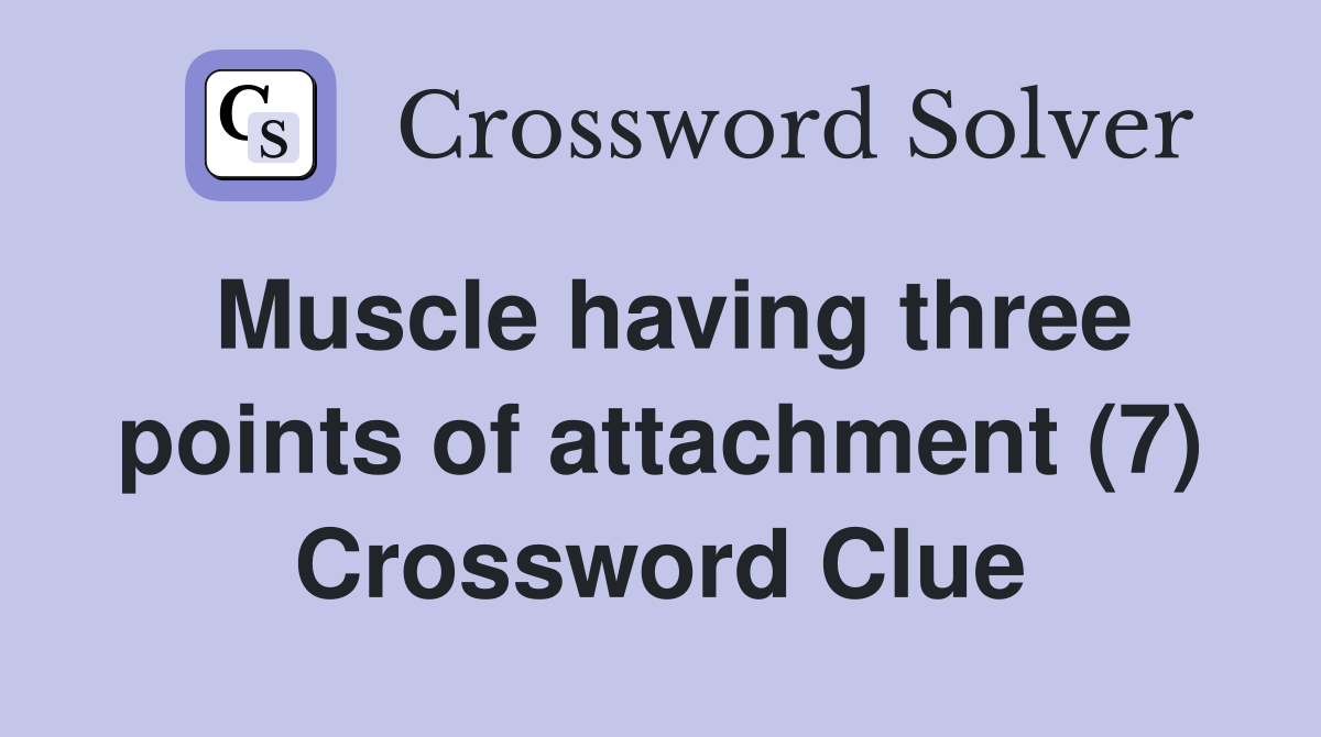 Muscle having three points of attachment (7) Crossword Clue