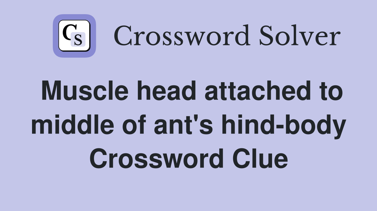 Muscle head attached to middle of ant's hind-body Crossword Clue