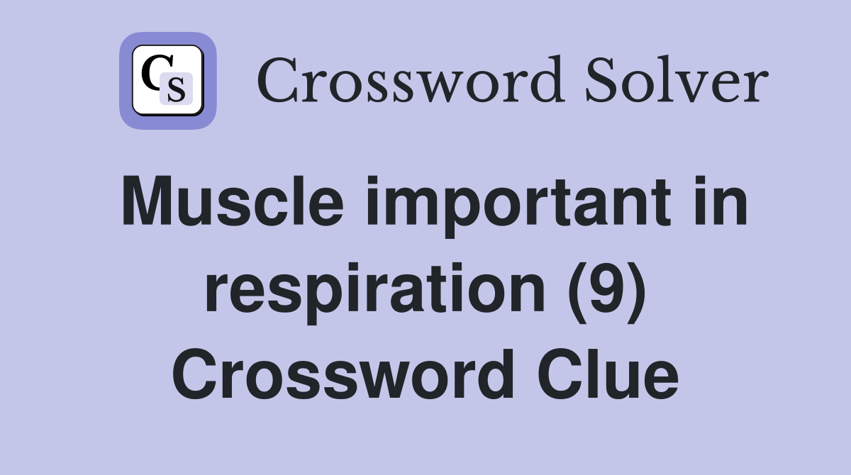 Muscle important in respiration (9) Crossword Clue