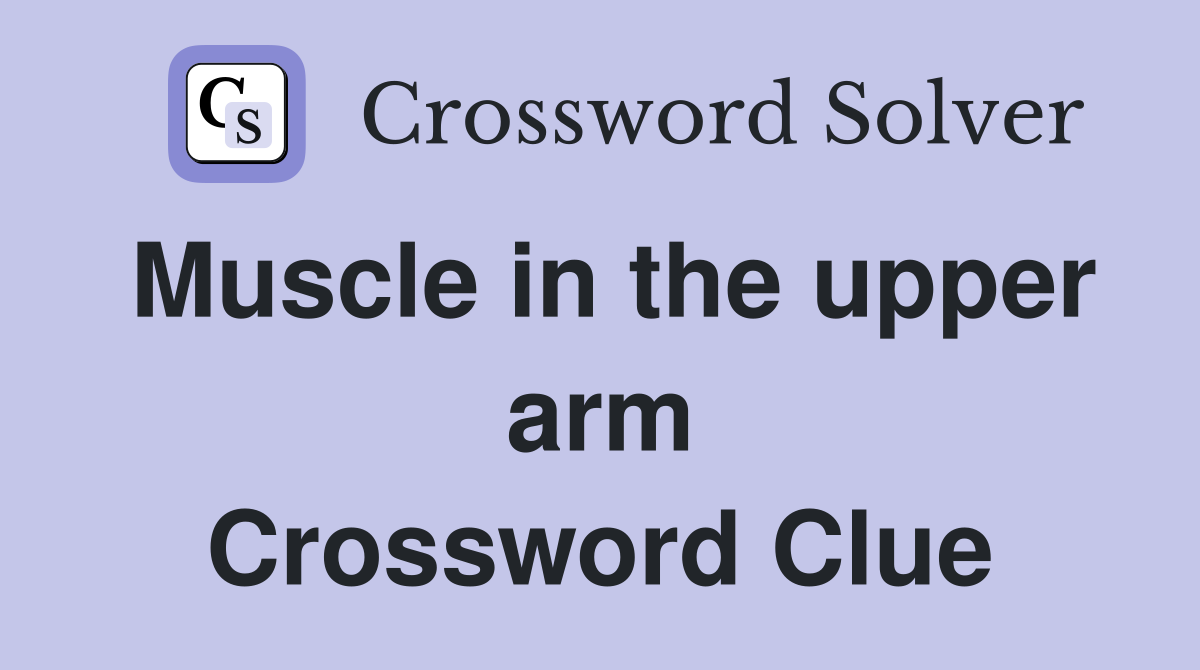 Muscle in the upper arm Crossword Clue