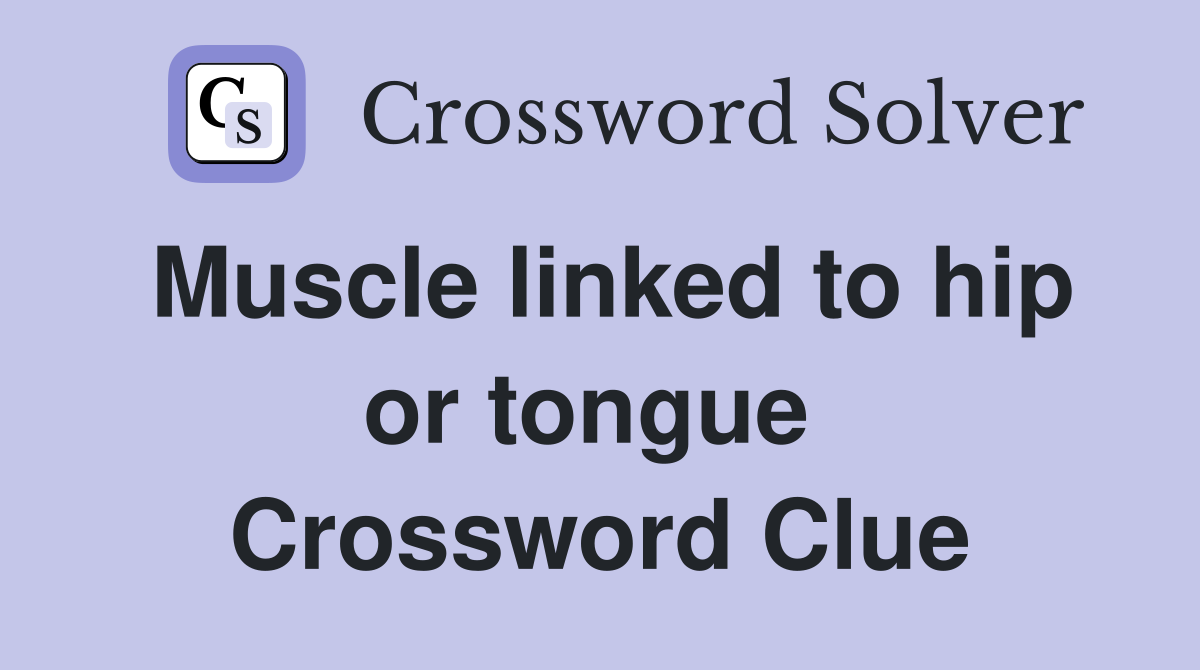 Muscle linked to hip or tongue  Crossword Clue