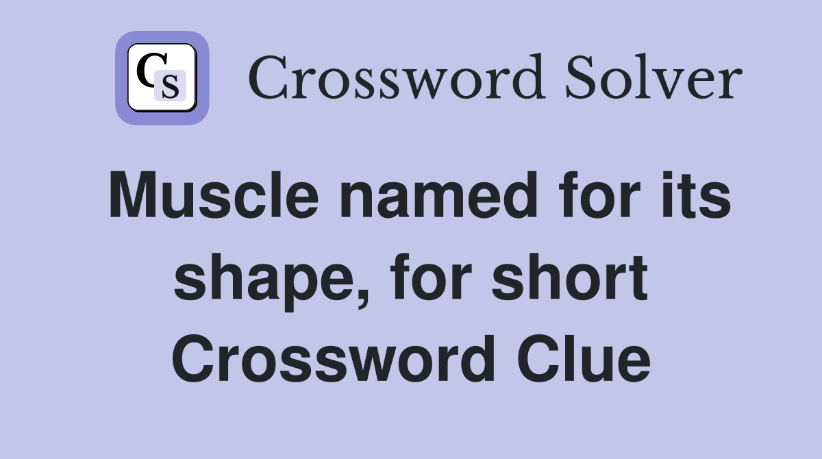Muscle named for its shape, for short Crossword Clue