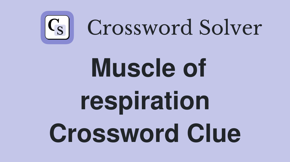 Muscle of respiration Crossword Clue