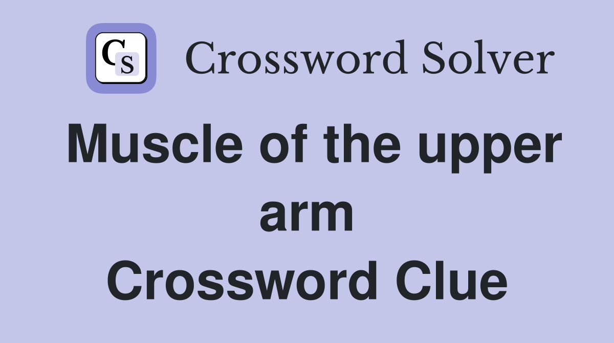 Muscle of the upper arm Crossword Clue