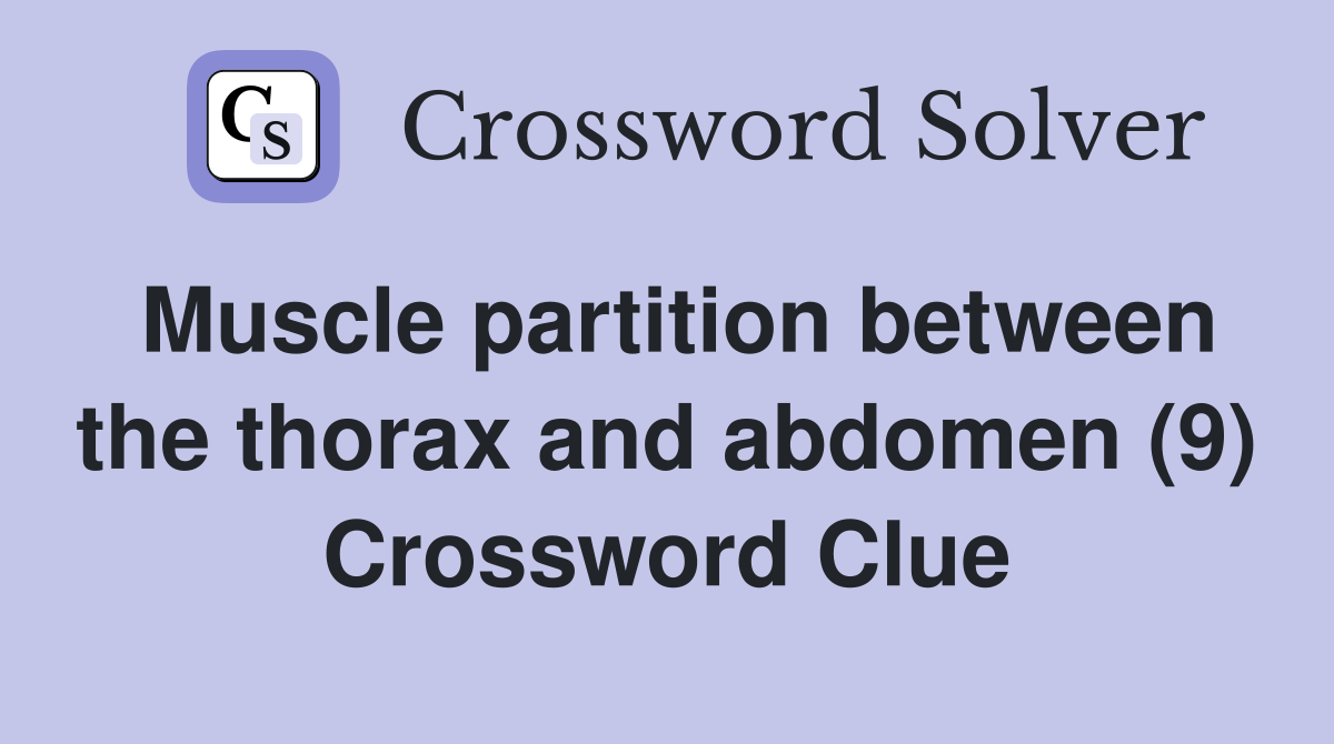 Muscle partition between the thorax and abdomen (9) Crossword Clue