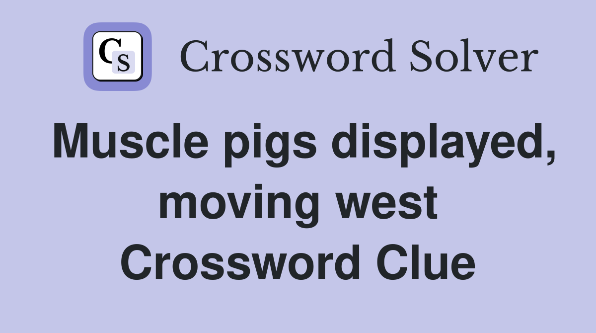 Muscle pigs displayed, moving west Crossword Clue