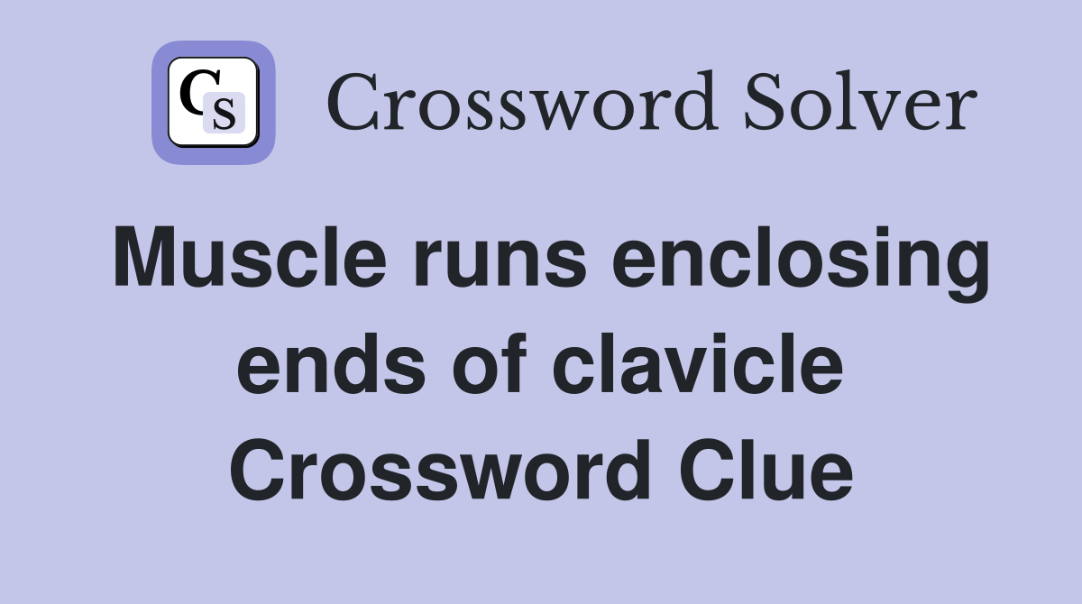 Muscle runs enclosing ends of clavicle Crossword Clue