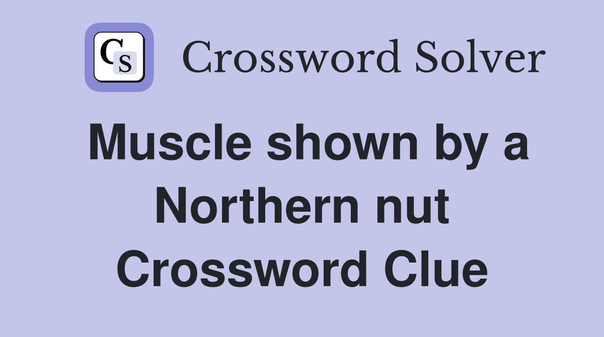 Muscle shown by a Northern nut Crossword Clue