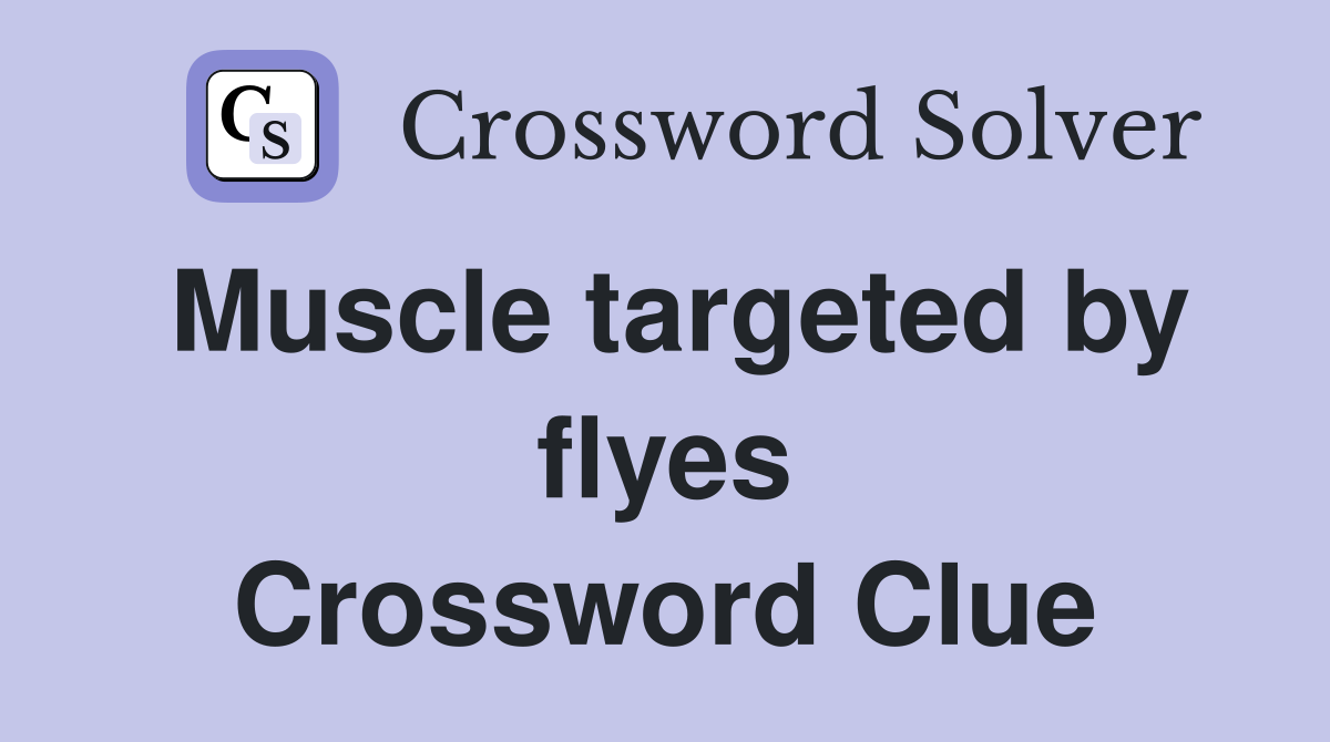 Muscle targeted by flyes Crossword Clue