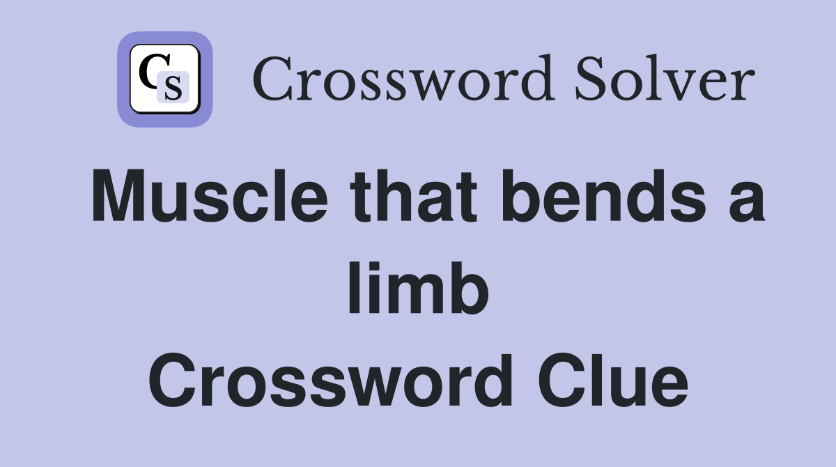 Muscle that bends a limb Crossword Clue