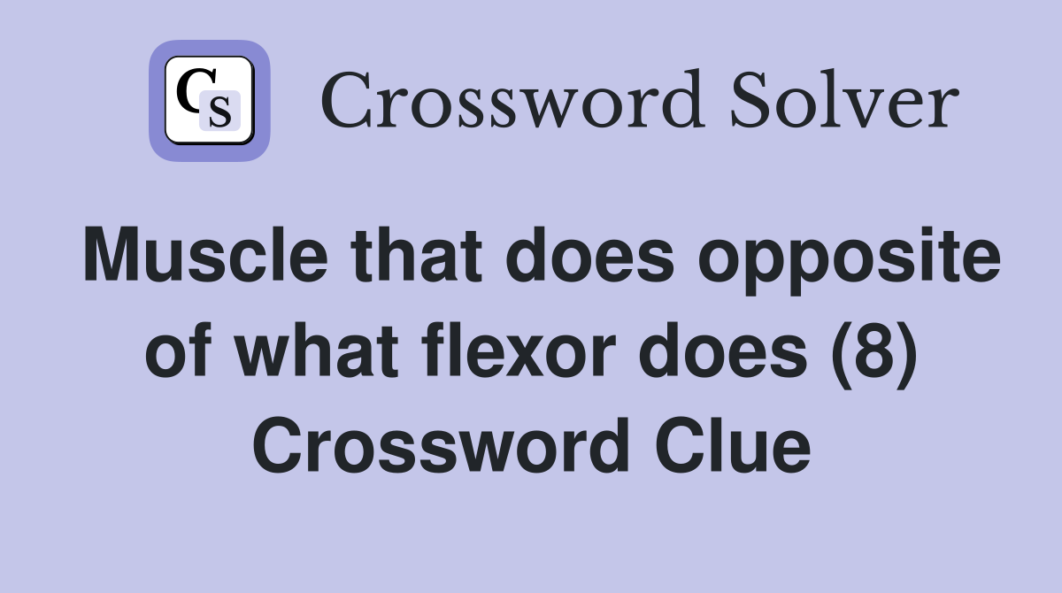 Muscle that does opposite of what flexor does (8) Crossword Clue
