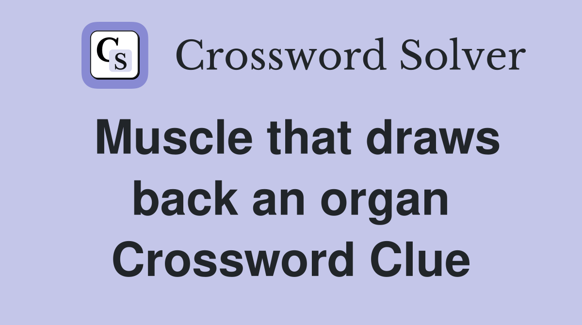 Muscle that draws back an organ Crossword Clue