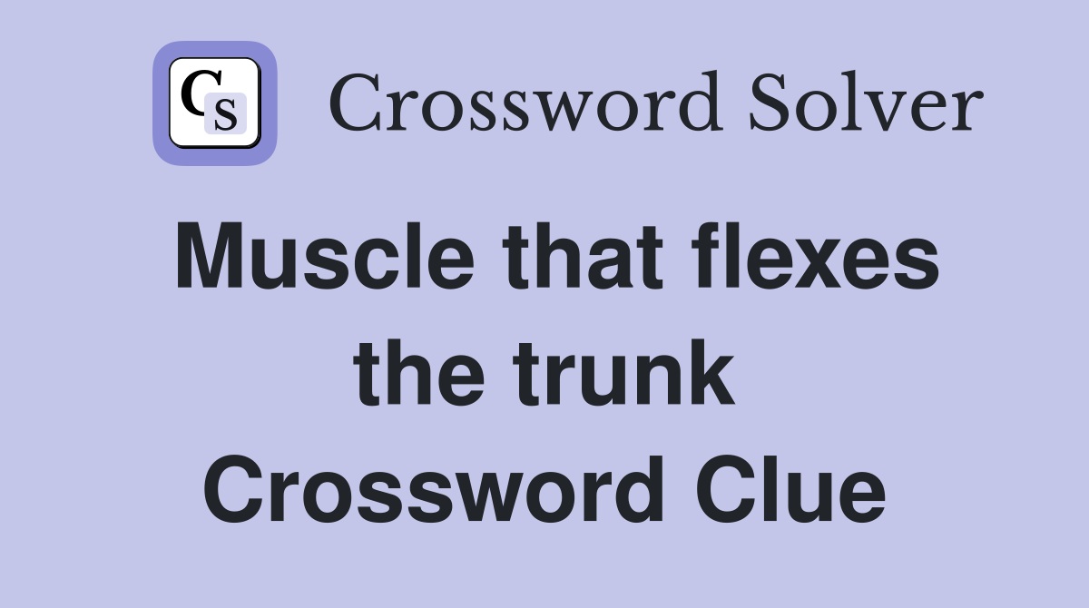 Muscle that flexes the trunk Crossword Clue