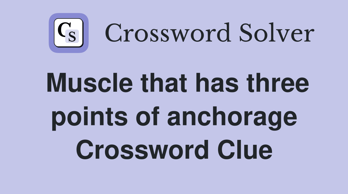 Muscle that has three points of anchorage Crossword Clue