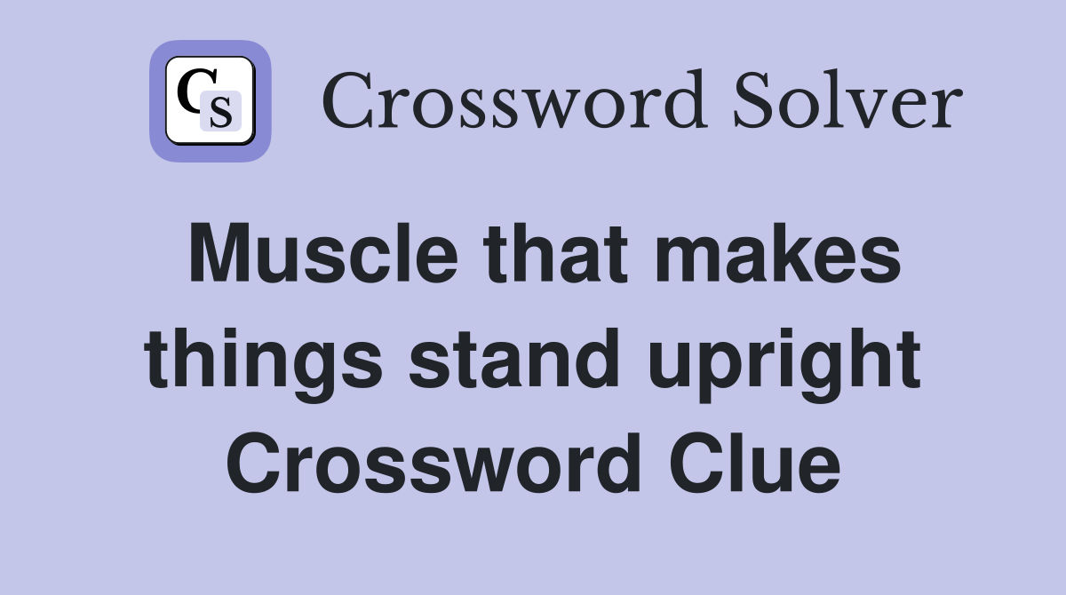 Muscle that makes things stand upright Crossword Clue
