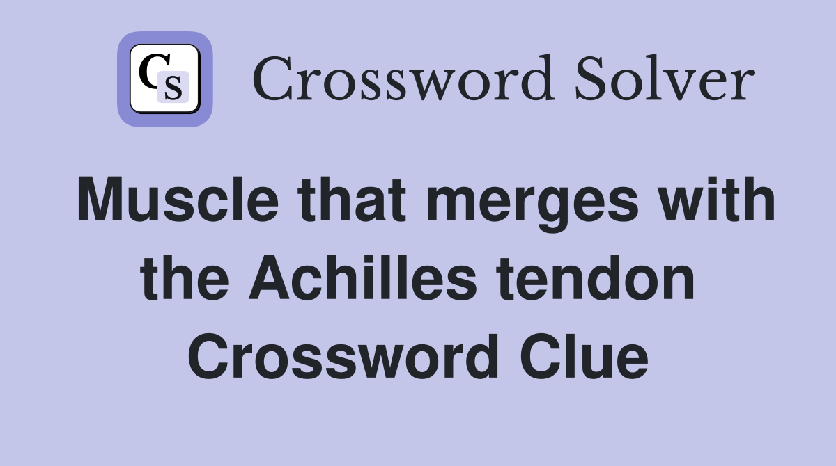 Muscle that merges with the Achilles tendon Crossword Clue