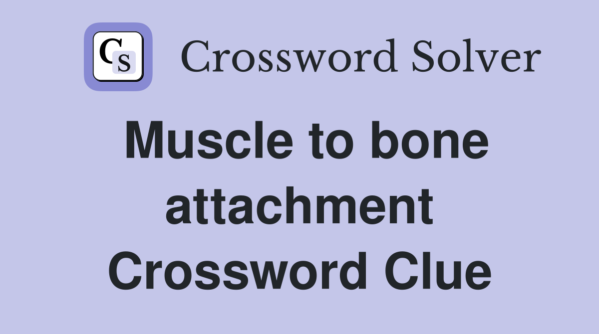 Muscle to bone attachment Crossword Clue