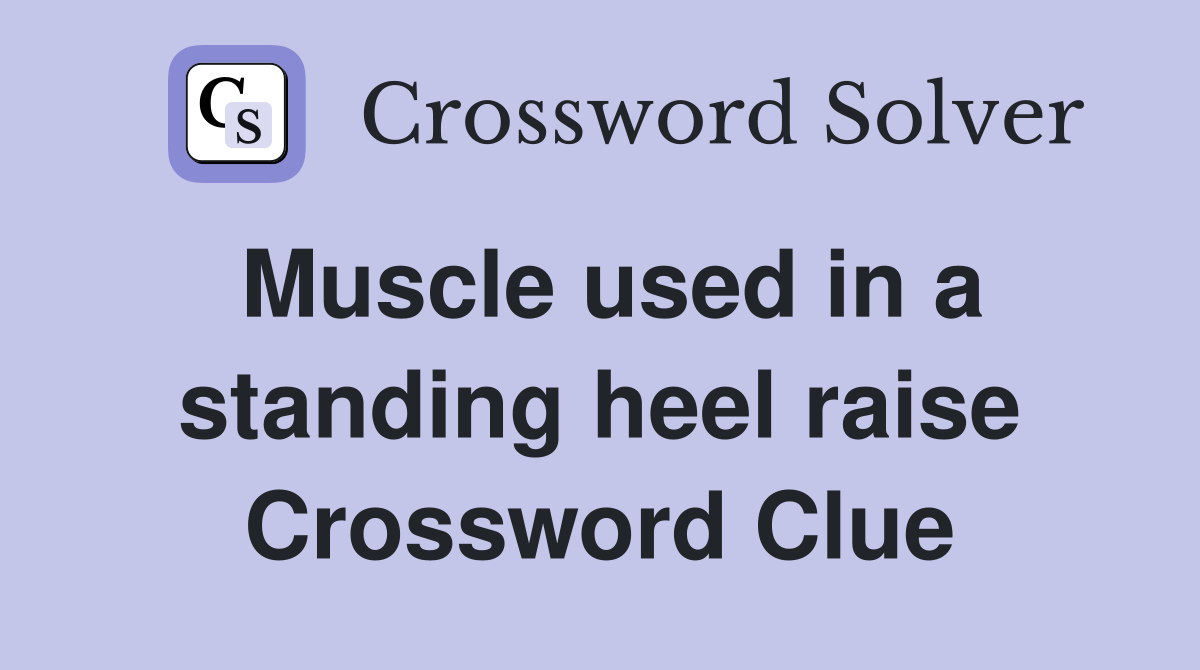 Muscle used in a standing heel raise Crossword Clue