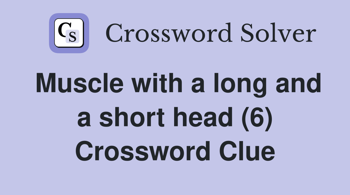 Muscle with a long and a short head (6) Crossword Clue