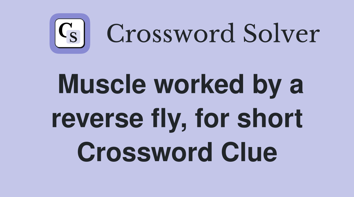 Muscle worked by a reverse fly, for short Crossword Clue