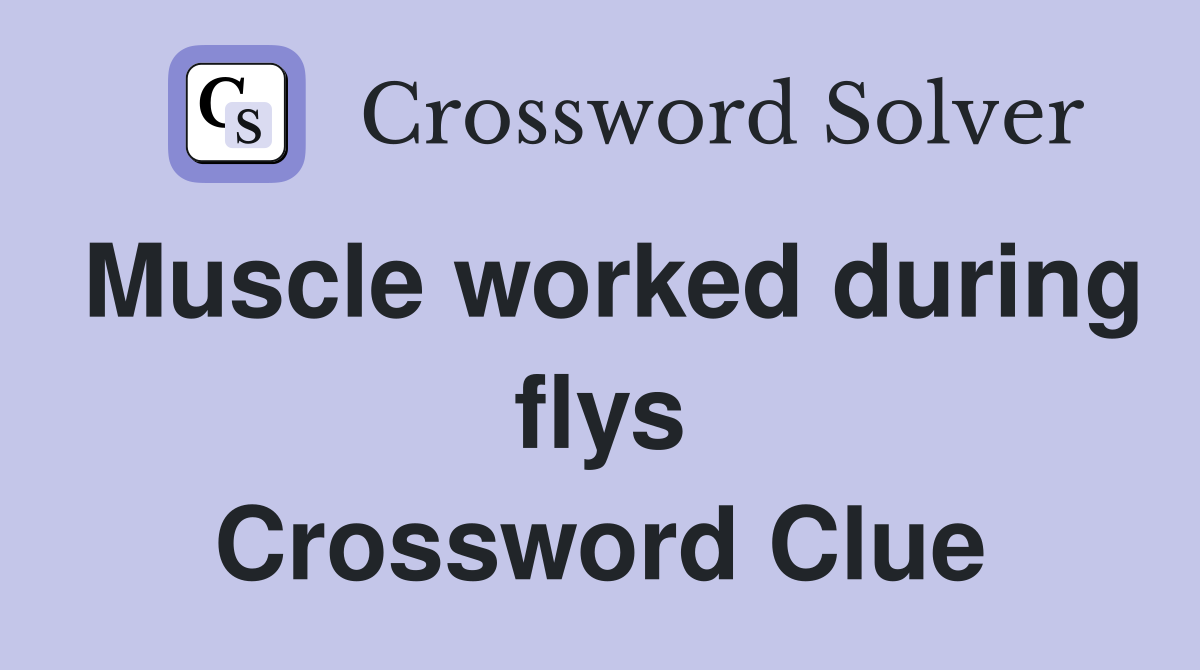 Muscle worked during flys Crossword Clue