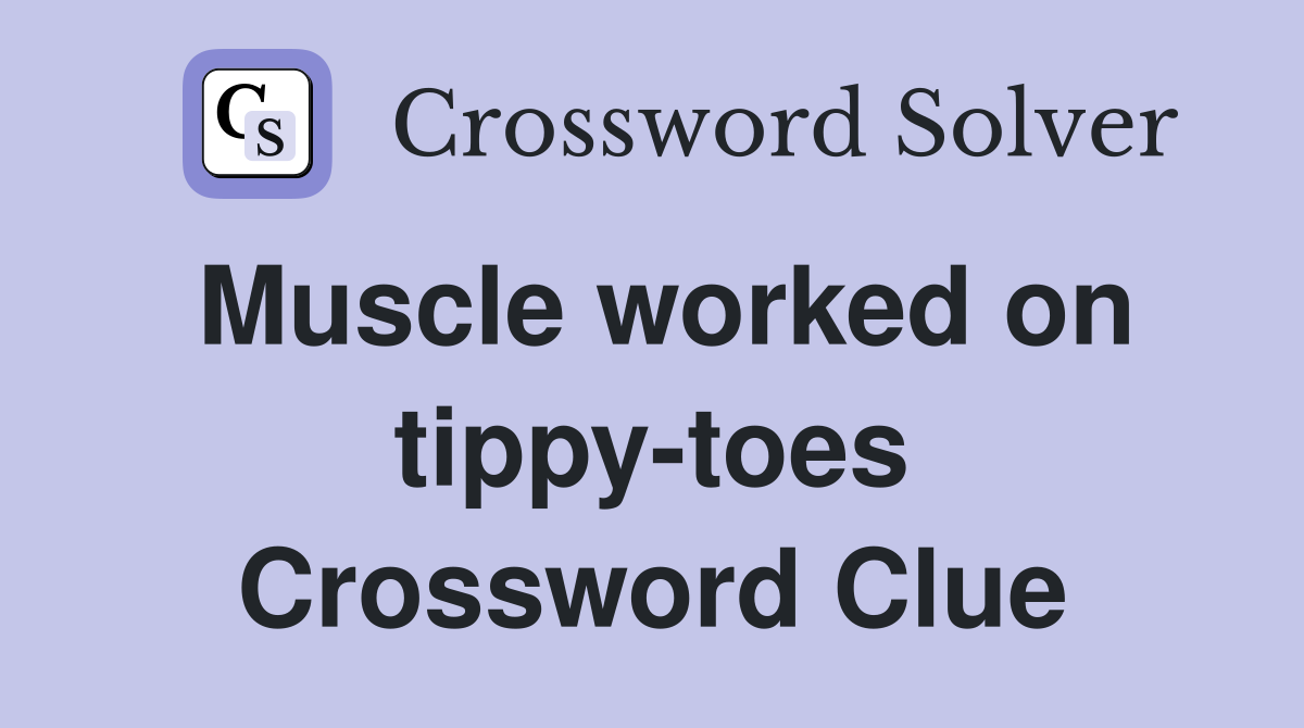 Muscle worked on tippy-toes Crossword Clue