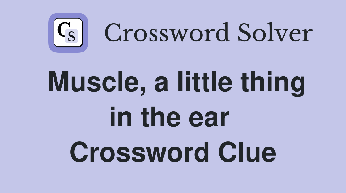 Muscle, a little thing in the ear  Crossword Clue